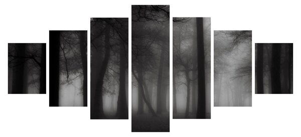 Obraz - Les v mlze (210x100 cm)