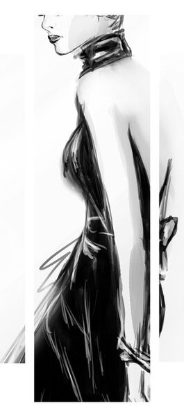 Obraz - Módní ilustrace (210x100 cm)