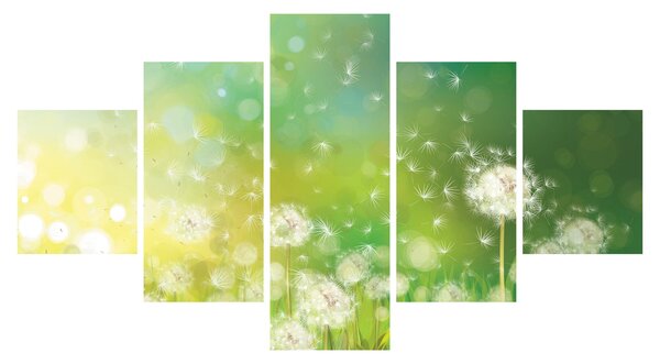 Obraz - Odkvetlé pampelišky (125x70 cm)