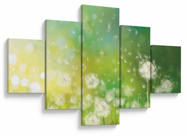 Obraz - Odkvetlé pampelišky (125x70 cm)