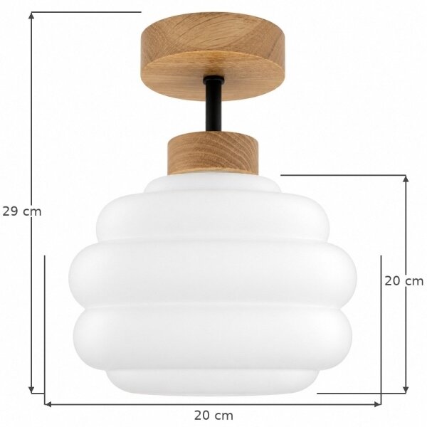 BRILAGI - LED Přisazený lustr RETRO GLASS 1xE27/60W/230V pr. 20 cm dub/bílá