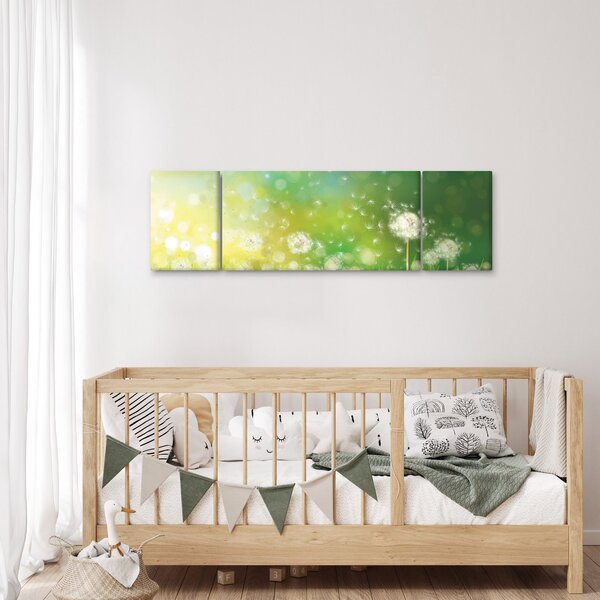 Obraz - Odkvetlé pampelišky (170x50 cm)