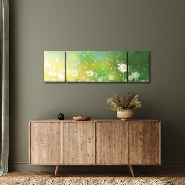 Obraz - Odkvetlé pampelišky (170x50 cm)
