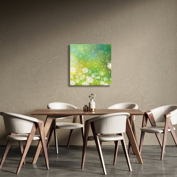 Obraz - Odkvetlé pampelišky (30x30 cm)