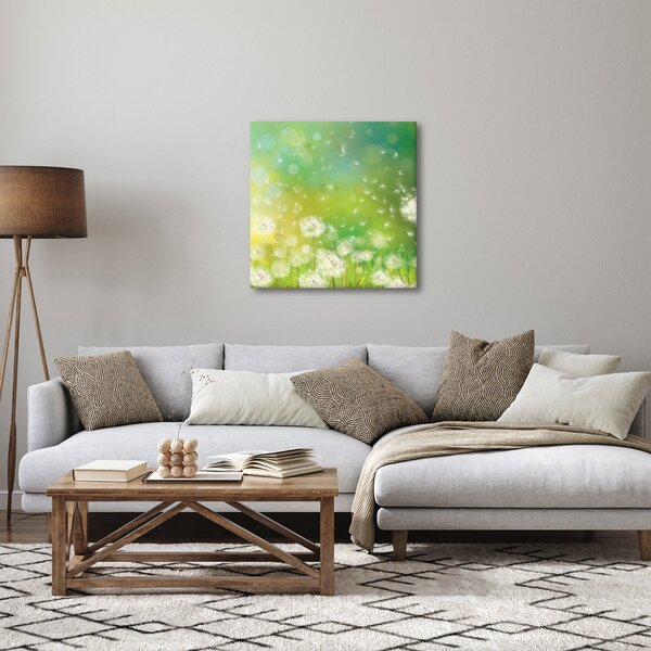 Obraz - Odkvetlé pampelišky (30x30 cm)