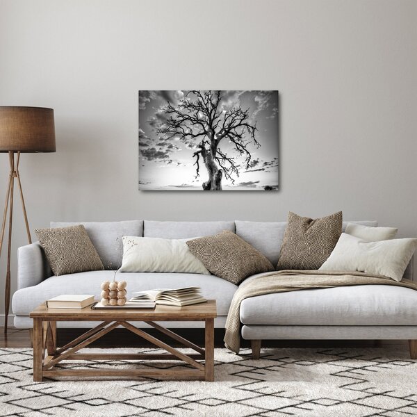 Obraz - Černobílý strom (70x50 cm)