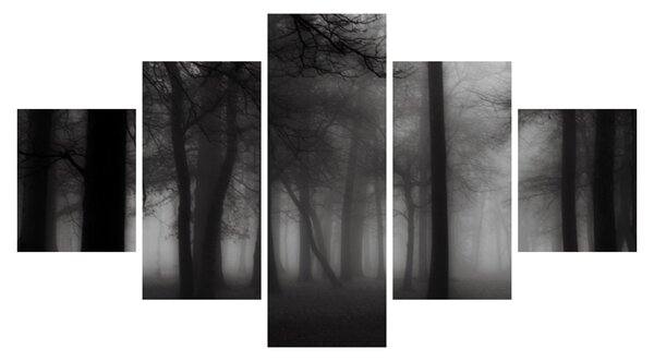 Obraz - Les v mlze (125x70 cm)