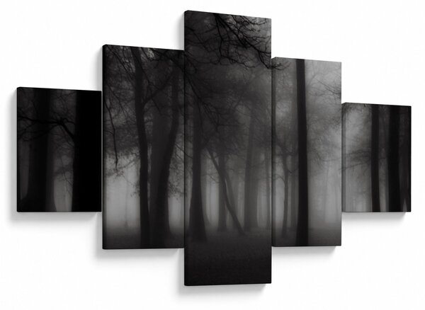 Obraz - Les v mlze (125x70 cm)