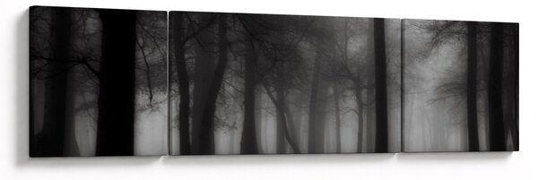 Obraz - Les v mlze (170x50 cm)