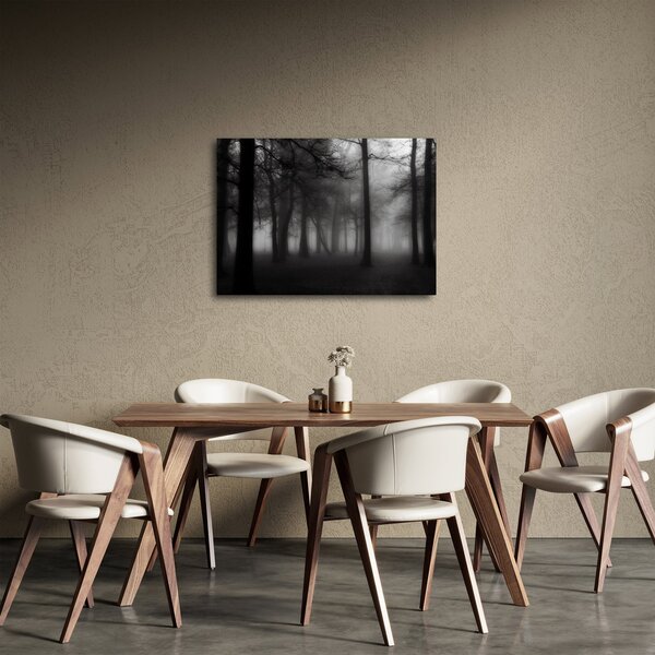 Obraz - Les v mlze (70x50 cm)