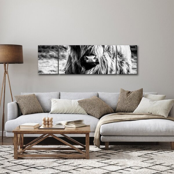 Obraz - Highland - Skotská kráva (170x50 cm)