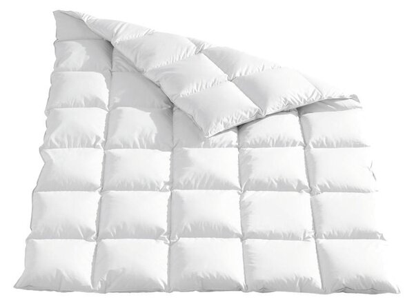 CELOROČNÍ PŘIKRÝVKA, 135/200 cm, kachní prachové peří, kachní peří Sleeptex - Přikrývky, Online Only