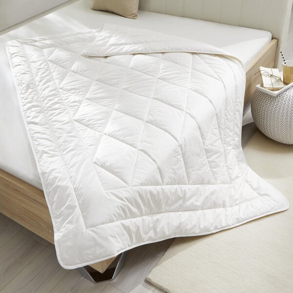 LETNÍ PŘIKRÝVKA, 135/200 cm, bavlněná výplň Billerbeck - Přikrývky, Online Only