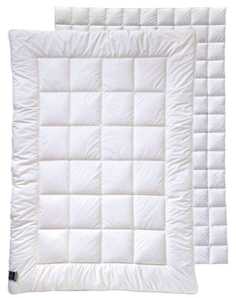 PŘIKRÝVKA PRO 4 ROČNÍ OBDOBÍ, 135/200 cm, duté vlákno Billerbeck - Přikrývky, Online Only