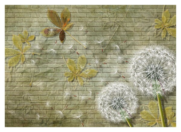 Skleněný obraz - Pampelišky unášené větrem (70x50 cm)