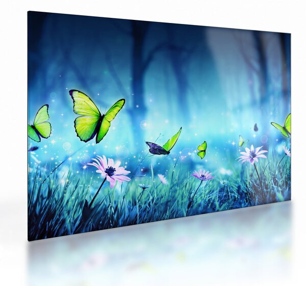 Skleněný obraz - Mystická lesní mýtina (70x50 cm)