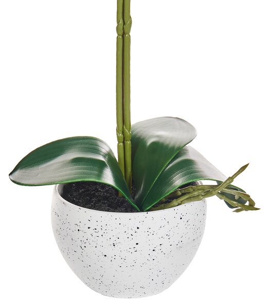 Umělá rostlina ORCHID 42 cm Bílá