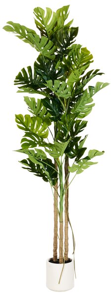 Umělá rostlina MONSTERA PLANT 221 cm Zelená