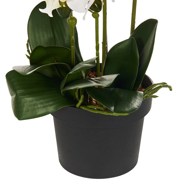 Umělá rostlina ORCHID 65 cm Bílá