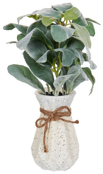 Umělá rostlina PEPEROMIA ARGYREIA 30 cm Zelená