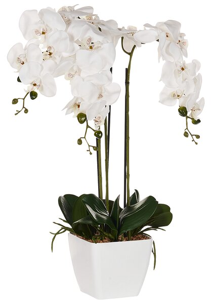 Umělá rostlina ORCHID 59 cm Bílá