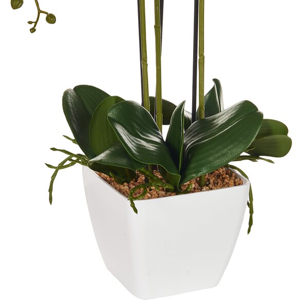 Umělá rostlina ORCHID 59 cm Bílá