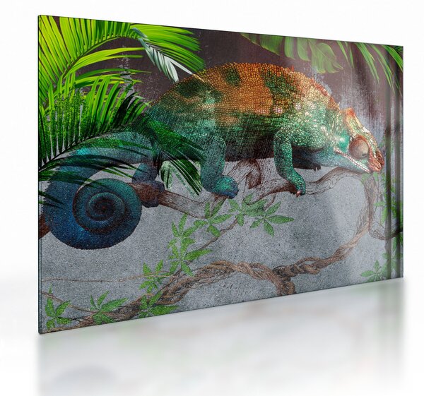 Skleněný obraz - Chameleon (70x50 cm)