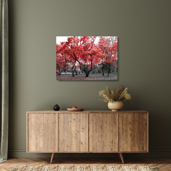 Skleněný obraz - Červené stromy, Central Park, New York (70x50 cm)