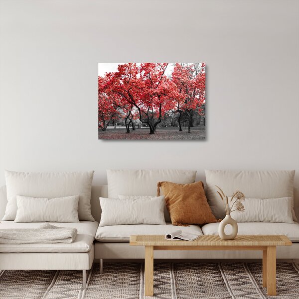 Skleněný obraz - Červené stromy, Central Park, New York (70x50 cm)