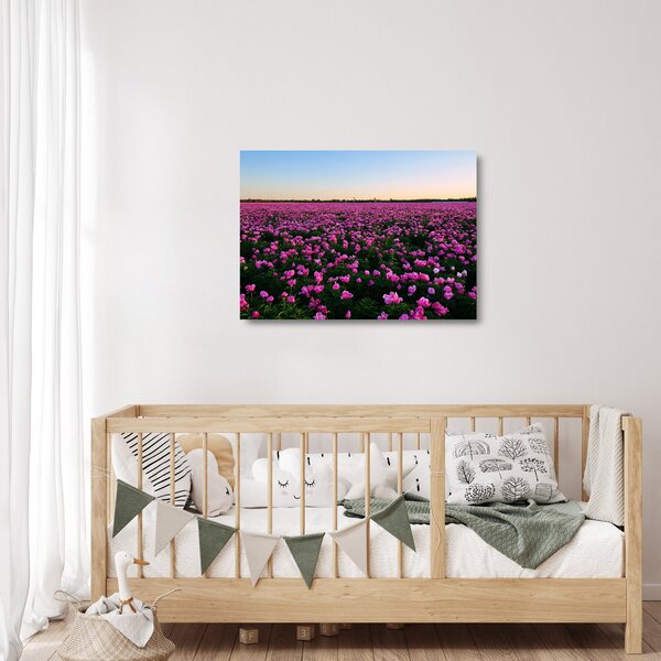 Skleněný obraz - Louka fialových tulipánů (70x50 cm)