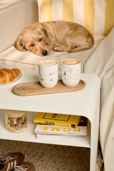 Porcelánový hrnek Dachshund Skateboard
