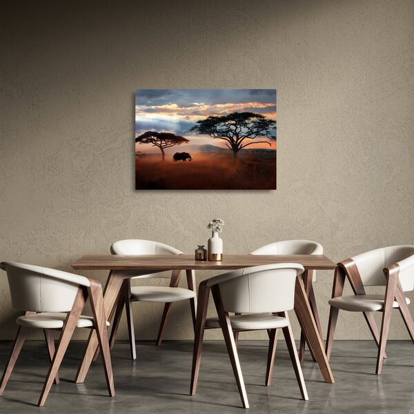 Skleněný obraz - Národní park Serengeti, Tanzánie, Afrika (70x50 cm)