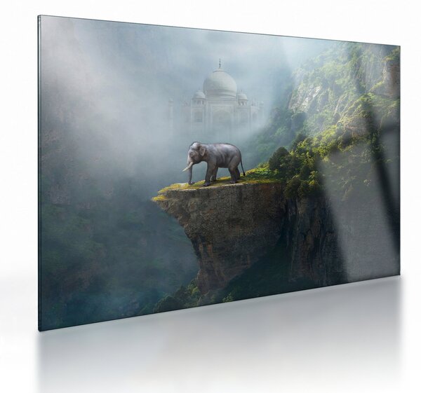Skleněný obraz - Slůně na vrcholku Taj Mahal (70x50 cm)