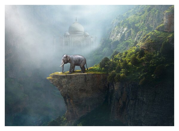 Skleněný obraz - Slůně na vrcholku Taj Mahal (70x50 cm)