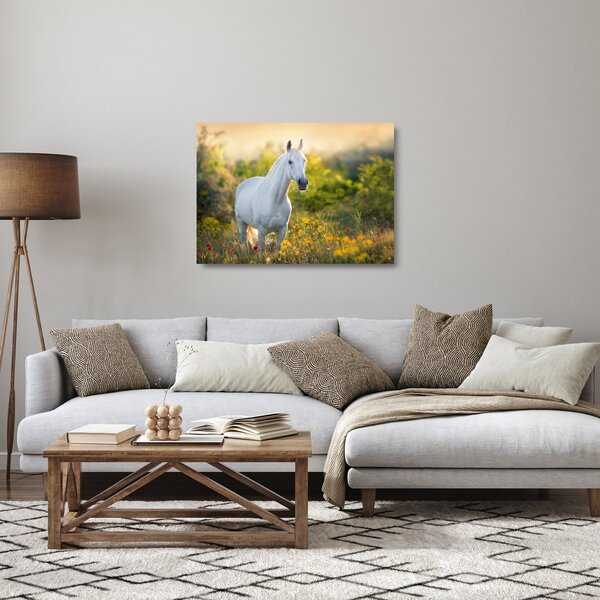 Skleněný obraz bílého koně na louce (70x50 cm)