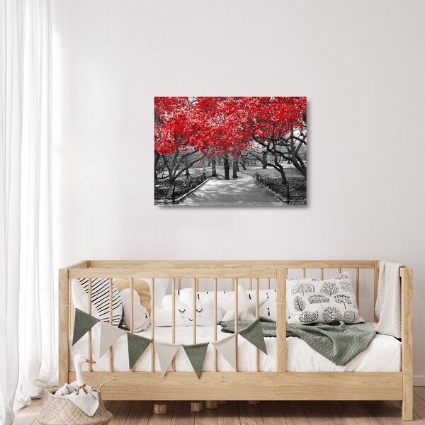 Skleněný obraz - Červené stromy, Central Park, New York (70x50 cm)