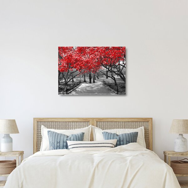 Skleněný obraz - Červené stromy, Central Park, New York (70x50 cm)