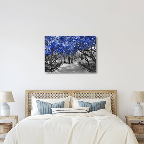Skleněný obraz - Modré stromy, Central Park, New York (70x50 cm)