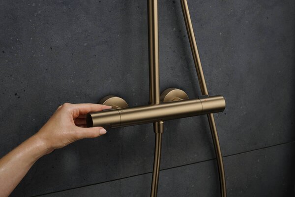 Hansgrohe Pulsify S Puro - Showerpipe 260 1jet s termostatem Ecostat Fine s ruční sprchou 3jet, kartáčovaný bronz 24236140
