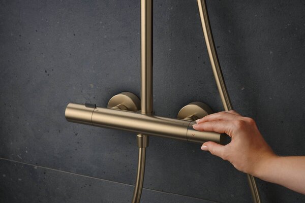 Hansgrohe Pulsify S Puro - Showerpipe 260 1jet s termostatem Ecostat Fine s ruční sprchou 3jet, kartáčovaný bronz 24236140