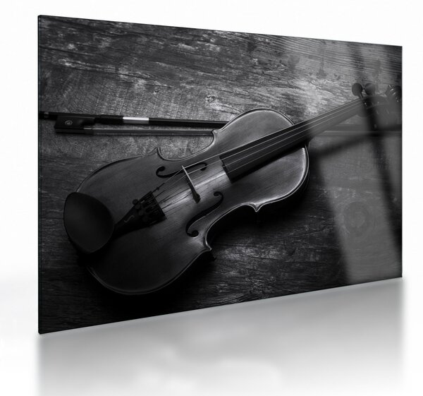 Skleněný obraz - Viola (70x50 cm)
