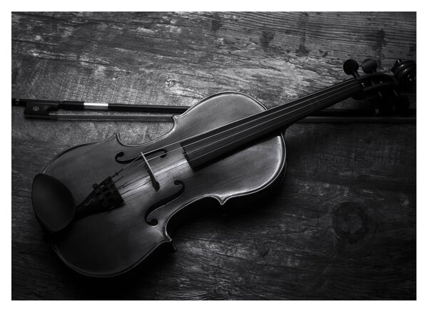 Skleněný obraz - Viola (70x50 cm)
