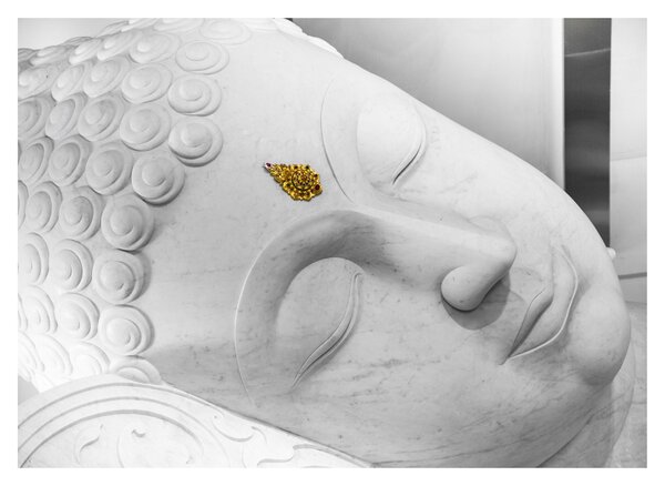 Skleněný obraz - Bílý Buddha (70x50 cm)