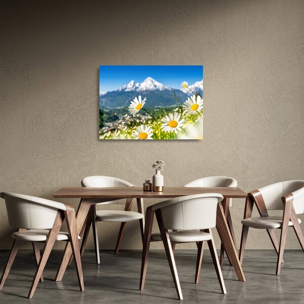 Skleněný obraz - Jaro v Alpách (70x50 cm)