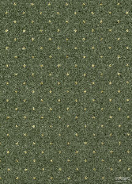 Division PA Metrážový koberec AKZENTO NEW 25, šíře role 400 cm, Zelená, Vícebarevné