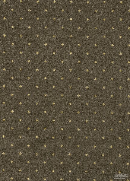 Division PA Metrážový koberec AKZENTO NEW 98, šíře role 400 cm, Hnědá, Vícebarevné