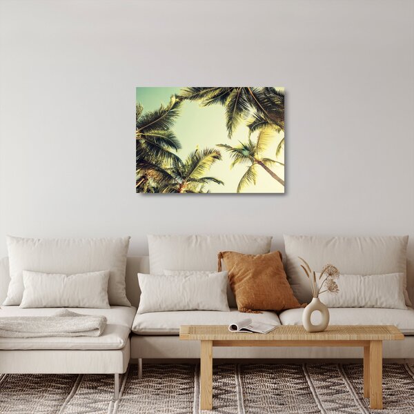 Skleněný obraz s kokosovými palmami (70x50 cm)