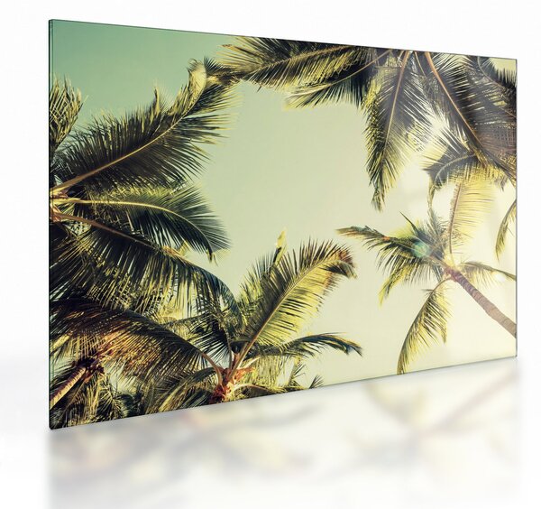 Skleněný obraz s kokosovými palmami (70x50 cm)