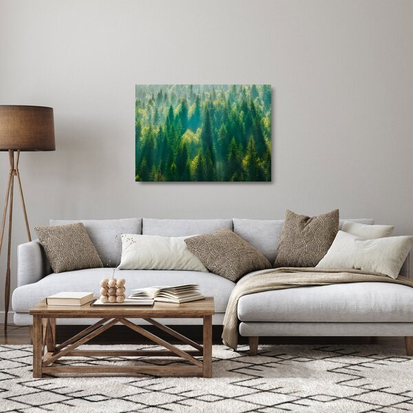 Skleněný obraz - Borovicový les (70x50 cm)