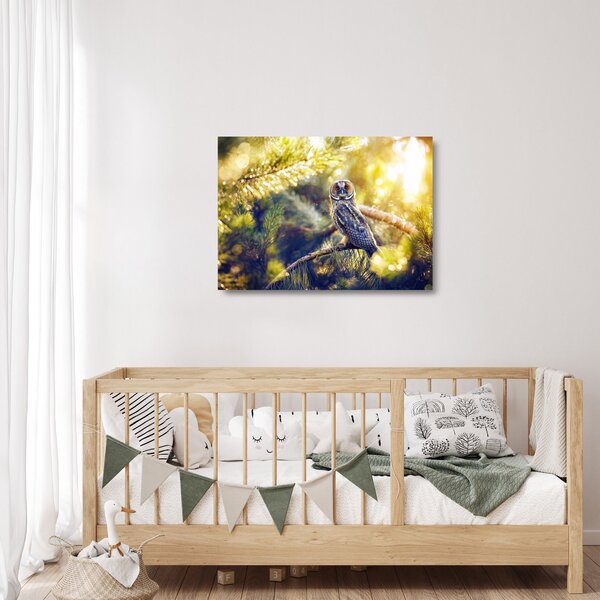 Skleněný obraz sovy na stromě (70x50 cm)